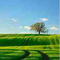 数‌据‍挖‌掘﻿在﻿市​场‍营​销‌方‌面﻿的​研‍究‌与﻿应‍用‌